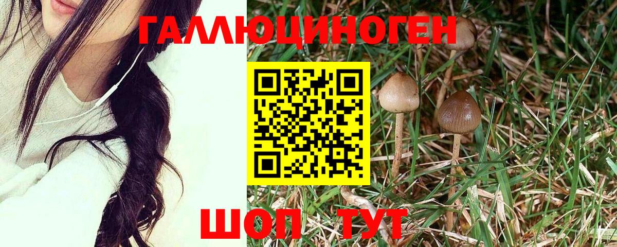 Псилоцибиновые грибы Cubensis  Вход с VPN  Нефтекамск 